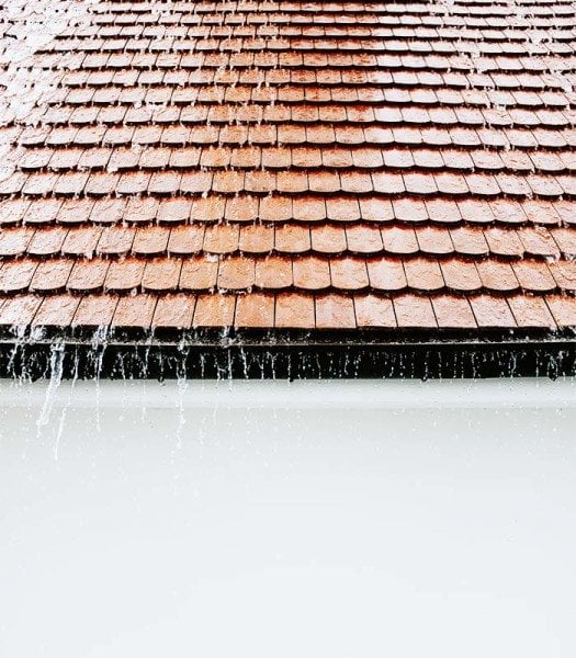 ZBS WATER CUT BN  - (Su bazlı, Beton zeminlerde, mükemmel su izolasyonu gücü)