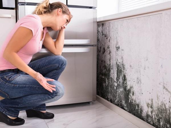 ZBS SUPREY SU İZOLASYON SPREYİ 400ml (Sprey rahatlığında, şeffaf, su izolasyonu uygulaması)